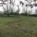 4 March 2017
