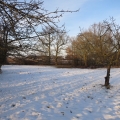 12 December 2017