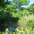 26 May 2017