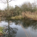 4 March 2017